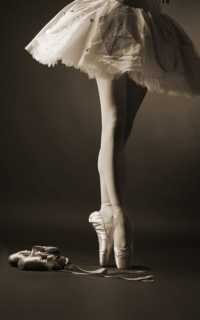 Petrova and the Swan – An Inspiring new book for children