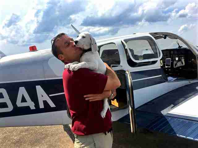 THE ULTIMATE ‘FUR’ OF FLYING – THE ‘INTERNATIONAL RESCUE’ OF ANIMALS